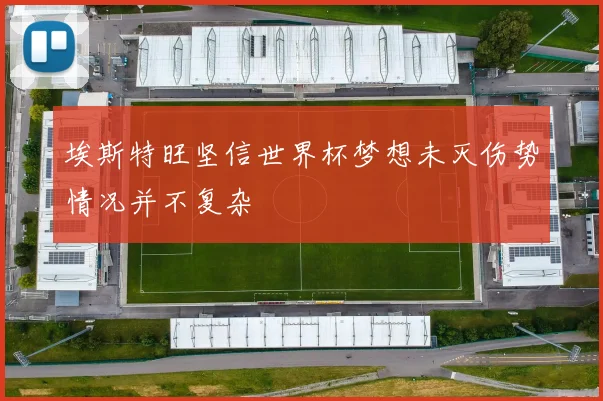 埃斯特旺坚信世界杯梦想未灭伤势情况并不复杂